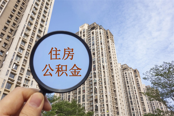 查询我的住房公积金-石家庄公积金代办平台